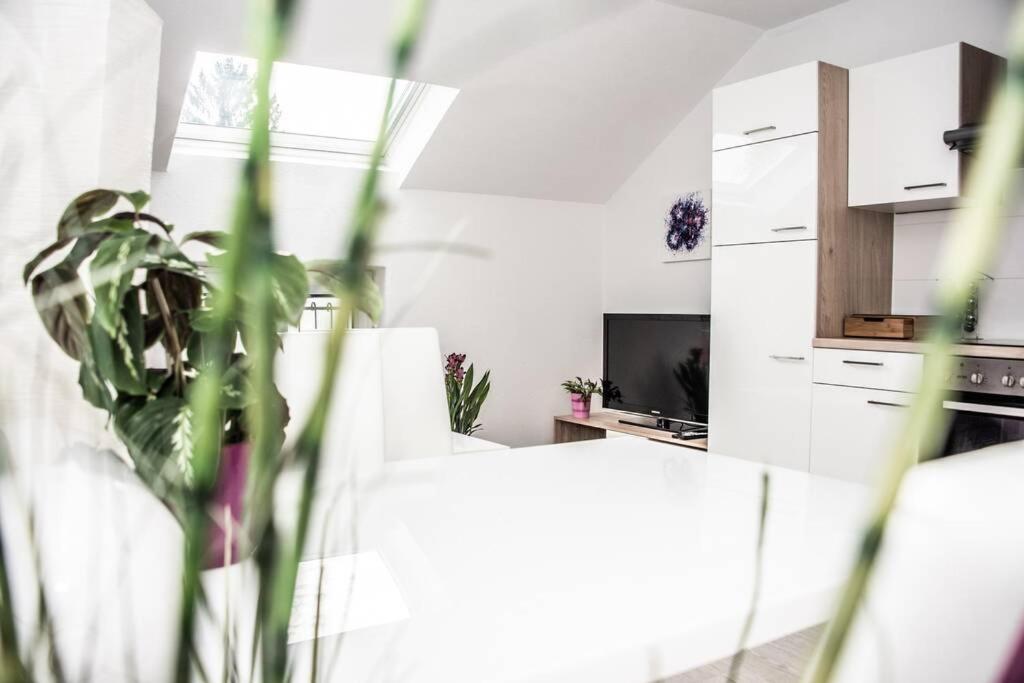 Apartment Pouringraz Fuer Kunst- Und Tennisliebhaber Eksteriør bilde